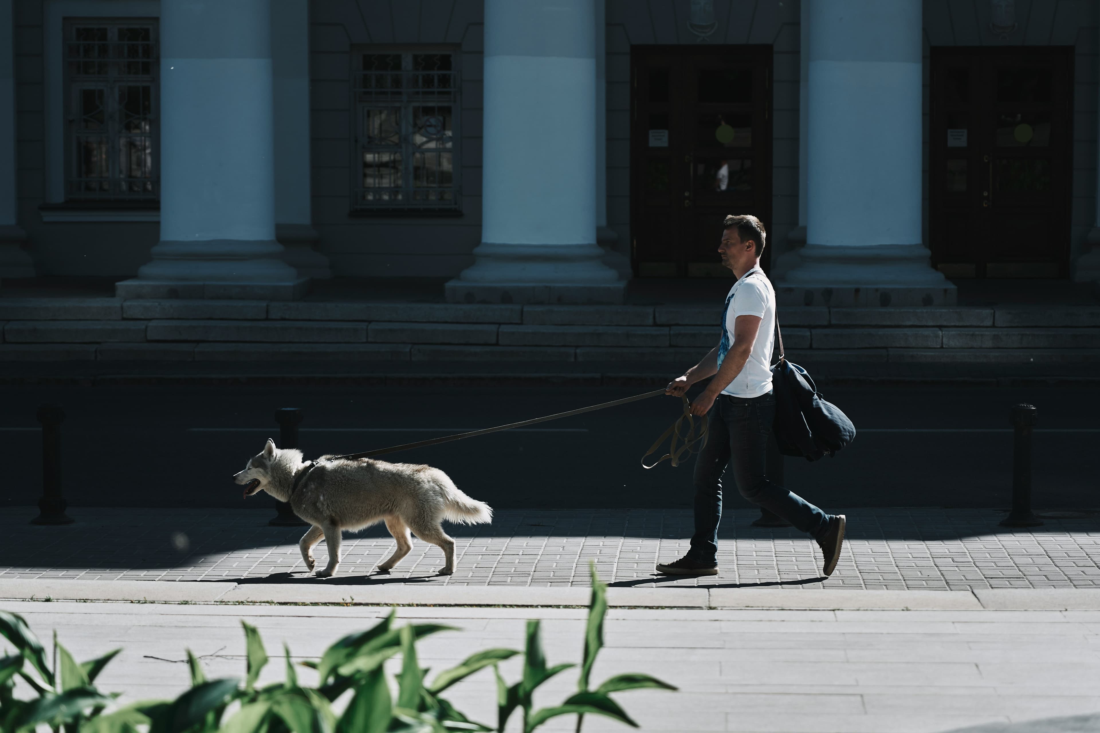 Responsible man with dog